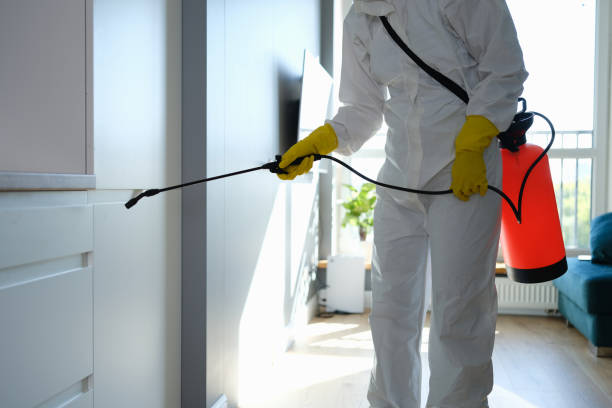 Best Industrial Mold Remediation in Alsip, IL