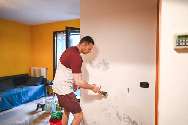 Best DIY Mold Remediation Support Services in Alsip, IL